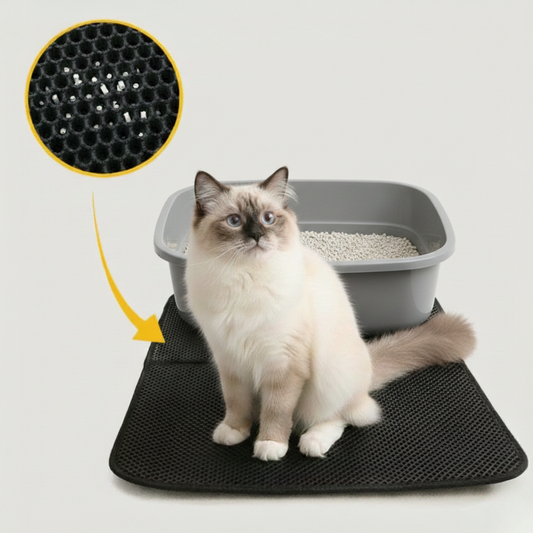 CleanStep – Mattan som håller golvet fritt från kattsand