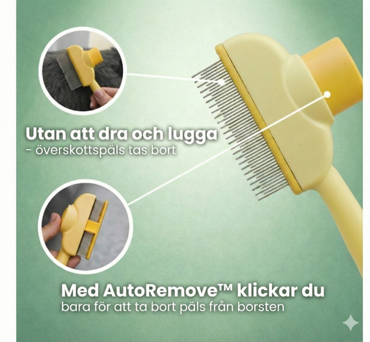 PälsFix™ – Enklare pälsbyte för dig och din katt