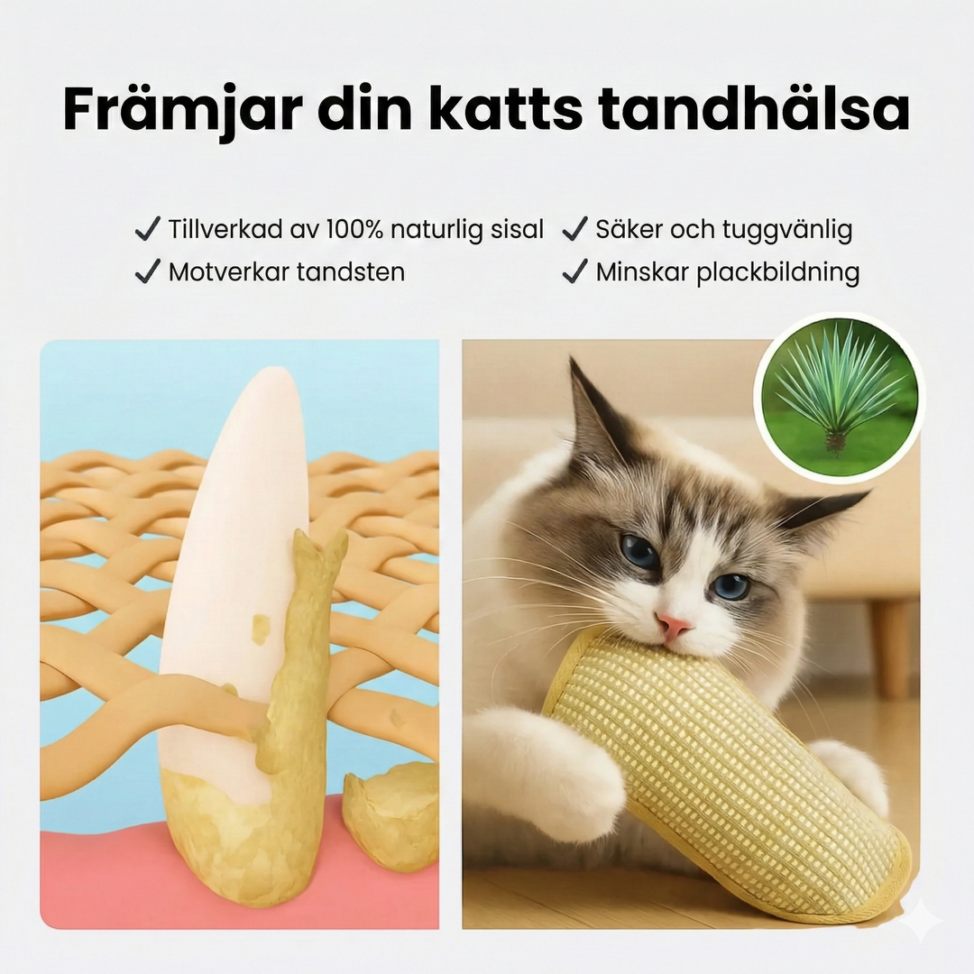 DjurFix BiteBuff™ - För din katts tandhälsa